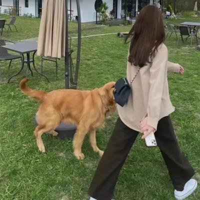 出狱一团糟