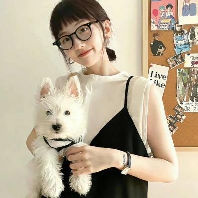 相似者